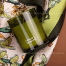 Покой природы