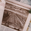 Культурный Петербург