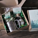 Лесничий Лесничий