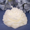 В объятиях весны