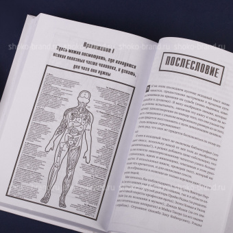 Легко и просто