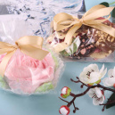 Весенние краски Весенние краски