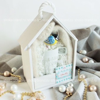 Зимний полет