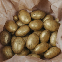 Ёлочка