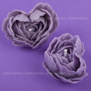 Ароматы цветов