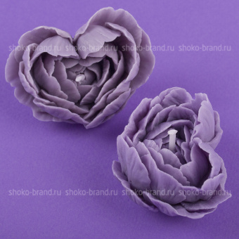 Ароматы цветов